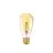 Ledvance Vintage 1906 LED E27 Birne Gold 4W 410lm - 824 | Ersatz für 35W