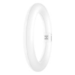Osram Tube LED T9 Circulaire (EM/Direct 230V) 11W 1320lm - 840  | Remplacement 22W