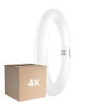 Lot 4x Osram Tube LED T9 Circulaire (EM/Direct 230V) 11W 1320lm - 840 Blanc Froid | Remplacement 22W