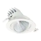 Philips Spot LED LuxSpace Accent Performance RS781B 29.5W 3850lm 36D - 830  | 170mm - Dali Dimmable