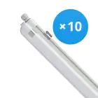 Lot 10x Philips Réglette LED Étanche CoreLine WT120C 42.9W 6000lm - 840  | 150cm